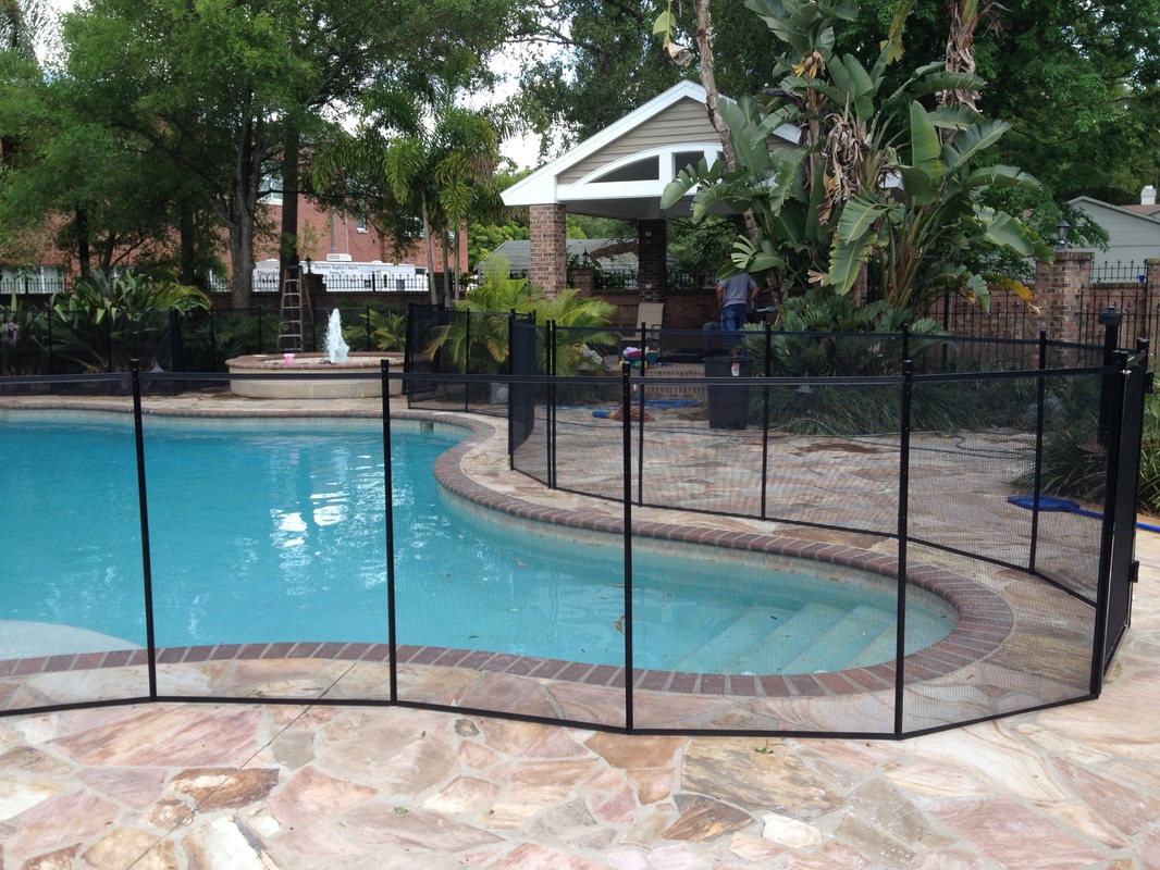 Pool Fence Showcase